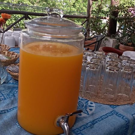 Mio Tulum Hotel Boutique Eksteriør billede A glass dispenser of freshly squeezed orange juice